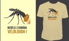 Nedělej z komára velblouda!