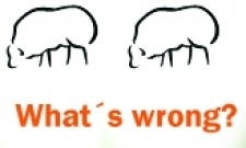 What´s wrong?