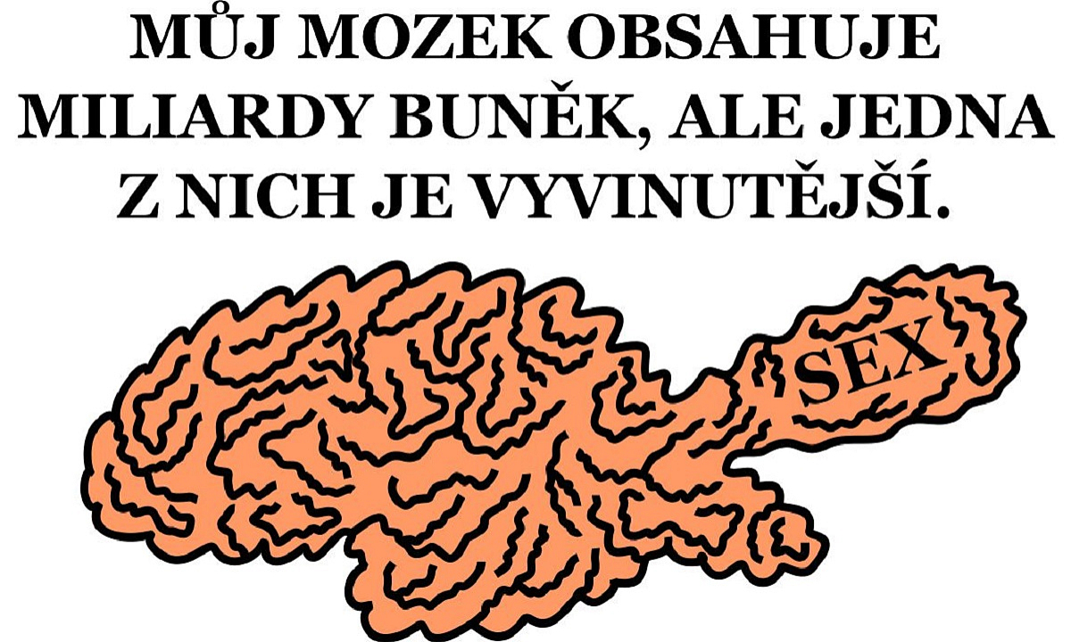 Detail návrhu Mozek - sex