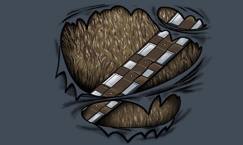 Detail návrhu Chewie
