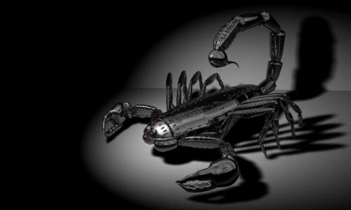 Detail návrhu Roboškorpion