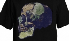 Earth skull