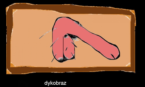 Detail návrhu dykobraz
