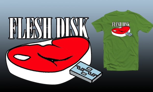 Detail návrhu Flesh disk