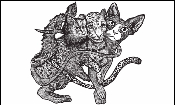 Detail návrhu Trojhlavá kočka
