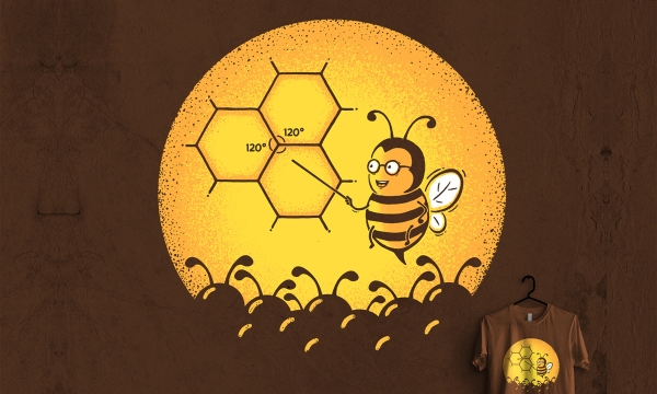 Detail návrhu Včelí univerzita